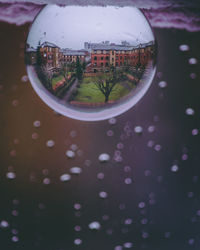 Close-up of car window