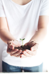 Midsection of man holding seedling