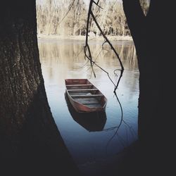 Reflection of trees in water