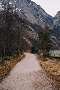 Dirt road amidst trees on mountain