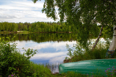 Scenic view of lake by trees against sky