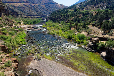 Scenic view of stream amidst trees and mountains