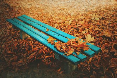 High angle view of bench in park