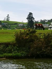 Scenic view of park against sky