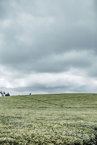 cloud