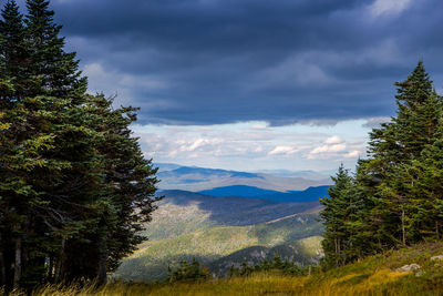 Scenic view of tree mountains against sky