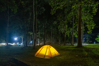 Tent in park at night