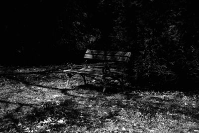 Empty bench on field by trees in forest