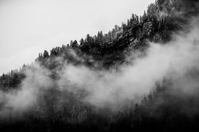 Low angle view of trees against sky