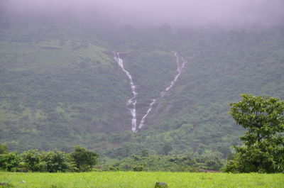 Scenic view of landscape