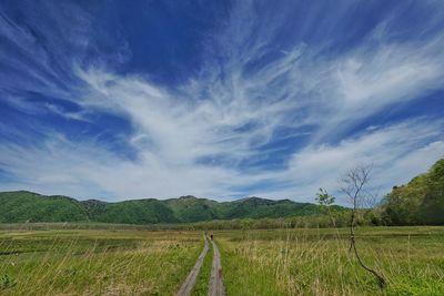 Scenic view of grassy field against cloudy sky