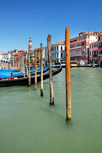 Row of wooden posts in grand canal