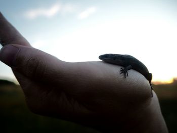 Close-up of human hand against sky