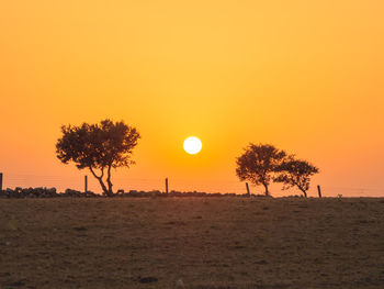 Silhouette trees on field against orange sky