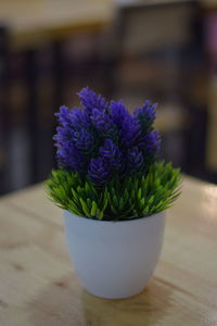 Close-up of purple flower pot on table