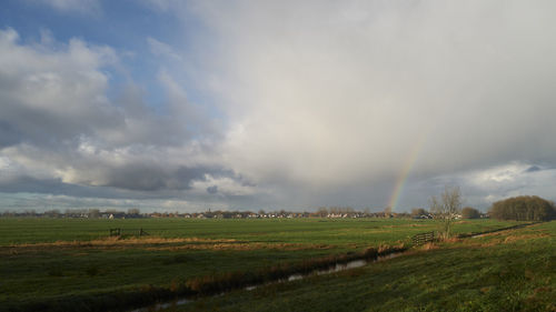 Scenic view of field against sky