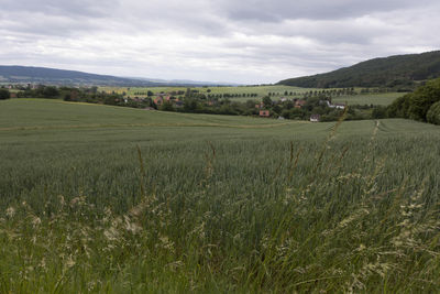 Hiking in the weserbergland with wonderful views over the weser valley. here direction of segelhorst