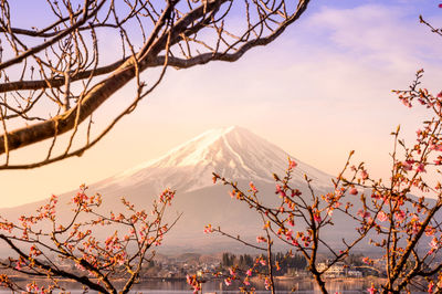 Scenic view of snowcapped mountain against cloudy sky
