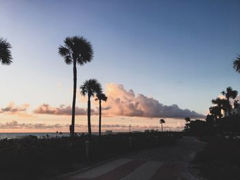 Silhouette palm trees on road against sky during sunset