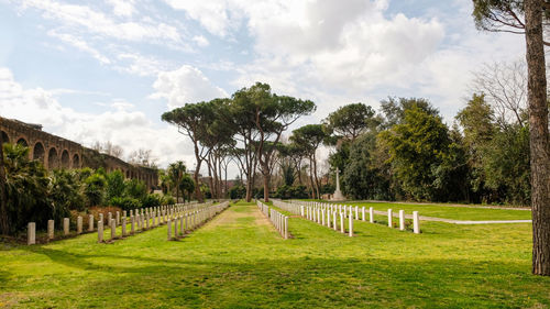 Panoramic shot of trees on landscape against sky