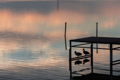 Silhouette men by lake against sky during sunset