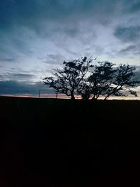 Bare trees against sky at sunset