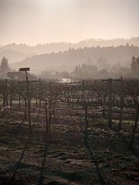 Scenic view of field by mountains against sky