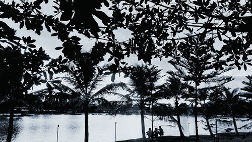 Silhouette trees by sea against sky