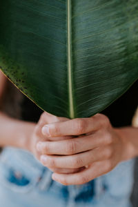 Close-up of hand holding leaves