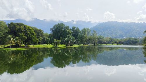 Scenic view of lake by trees against sky