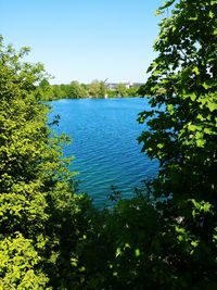 Scenic view of lake against clear blue sky