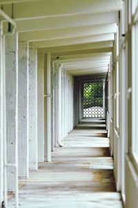 Corridor of building