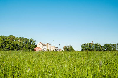 Plants growing on field by houses against clear sky