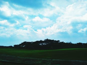 Trees on field against sky