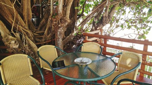 Potted plants on balcony
