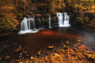 Scenic view of waterfall in forest