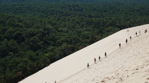 Group of people on the beach