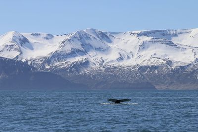 Scenic view of sea and snowcapped mountains against sky