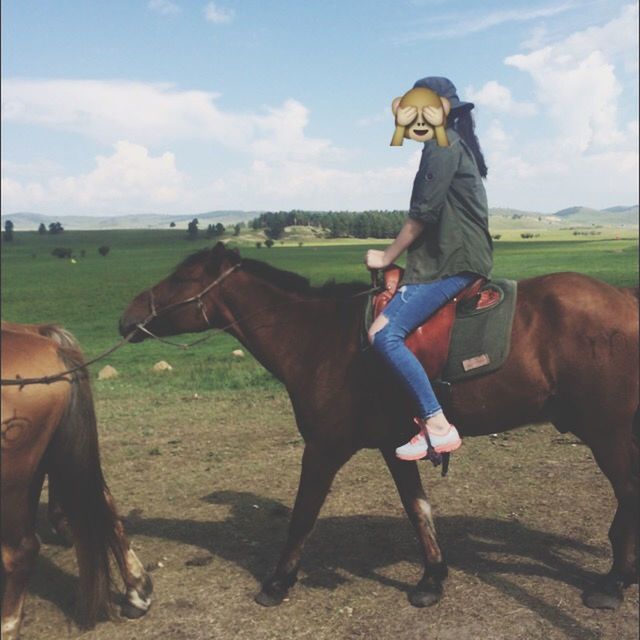 horse, domestic animals, animal themes, mammal, sky, livestock, lifestyles, cloud - sky, working animal, field, men, one animal, full length, leisure activity, horseback riding, standing, cloud, herbivorous