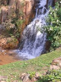 Scenic view of waterfall in forest