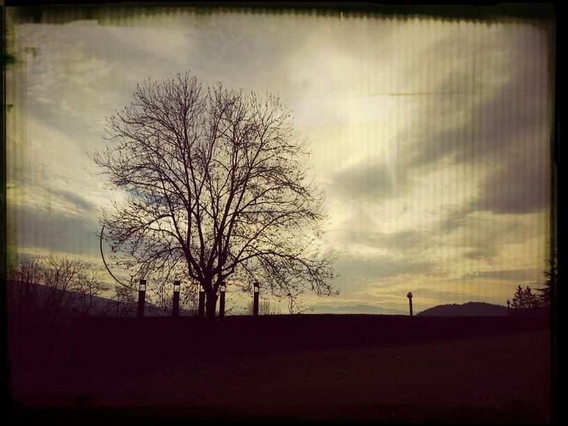 bare tree, transfer print, sky, tree, silhouette, cloud - sky, auto post production filter, sunset, tranquility, tranquil scene, branch, scenics, landscape, beauty in nature, cloudy, nature, cloud, field, dusk, outdoors