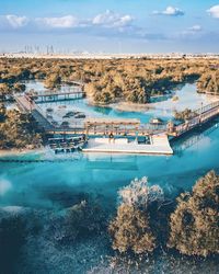 Mangrove tour