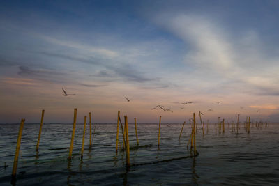 Scenic view of sea against sky at sunset