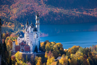 Plants and trees by building during autumn