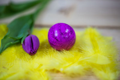 Close-up of easter egg and flower on feather