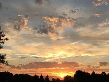 Low angle view of silhouette trees against sky during sunset