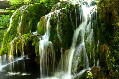 View of waterfall in forest