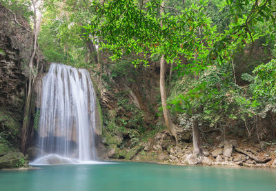 Scenic view of waterfall in forest