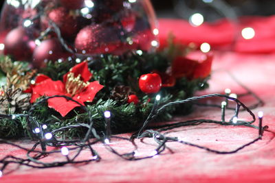 Close-up of christmas tree