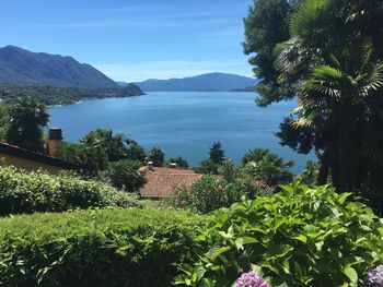 Scenic view of sea against blue sky